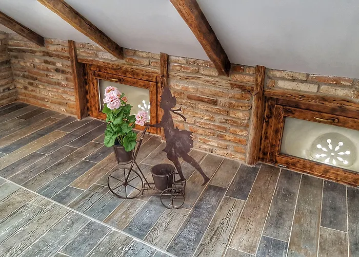 Windmill By Rembrandt Old Town *