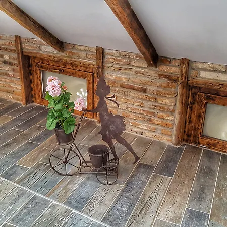 Windmill By Rembrandt Old Town *